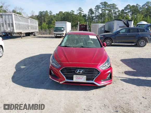 2019 Hyundai Sonata SE with VIN 5NPE24AF3KH753232, listed as a IAAI auction lot 41843557 with 52,996 mi miles and . Bid and sale history available at carsss.com. Image 12.
