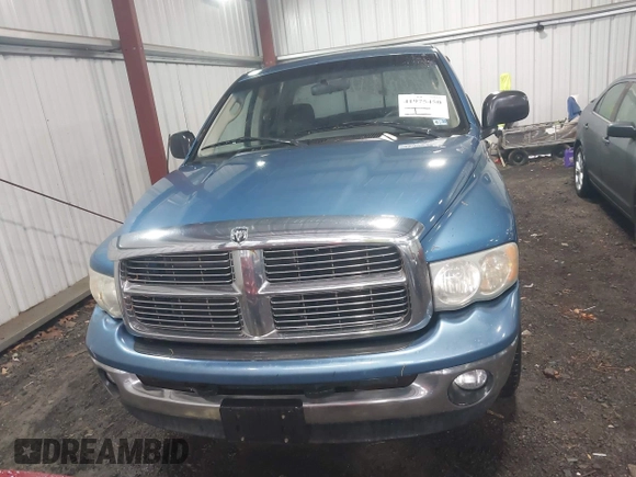2003 Dodge 1500 ST with VIN 1D7HA18N13S182909, listed as a IAAI auction lot 41975450 with 197,133 mi miles and . Bid and sale history available at DreamBid. Image 12.