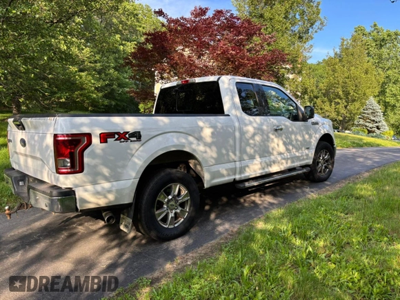 2017 Ford F-150 XL with VIN 1FTFX1EG5HKC27153, listed as a Copart auction lot 62049335 with 160,428 mi miles and Salvage title. Bid and sale history available at DreamBid. Image 4.