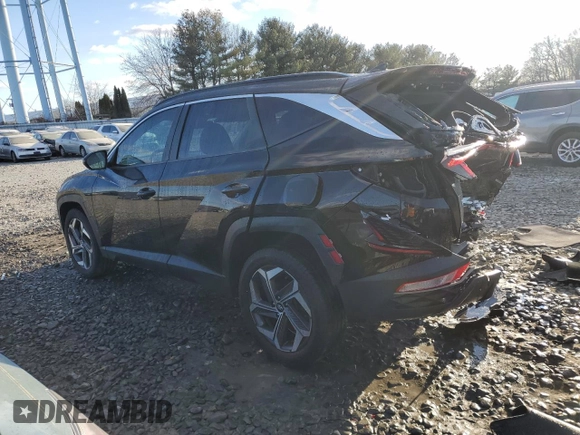 2022 Hyundai Tucson SEL with VIN 5NMJCCAE2NH014061, listed as a Copart auction lot 87253154 with 108,430 mi miles and Salvage Title. Bid and sale history available at carsss.com. Image 2.