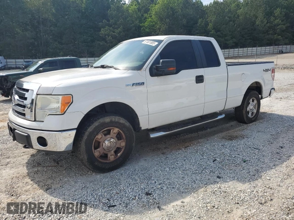 2010 Ford F-150 XL with VIN 1FTEX1E89AFB10260, listed as a Copart auction lot 57491885 with 185,044 mi miles and Salvage title. Bid and sale history available at DreamBid. Image 1.