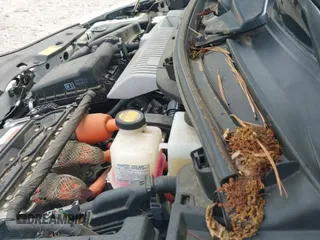 2013 Toyota Prius One с VIN JTDKN3DU4D5603745, выставлен на аукционе IAAI как лот 42710052 с пробегом 79 005 миль миль и . История ставок и продаж доступна на DreamBid. Изображение 20.