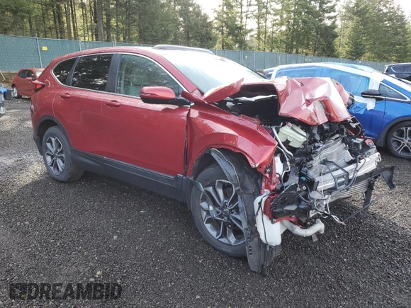 2021 Honda CR-V EX with VIN 2HKRW2H53MH629083, listed as a Copart auction lot 49008615 with Not Provided miles and Salvage Title. Bid and sale history available at carsss.com. Image 4.
