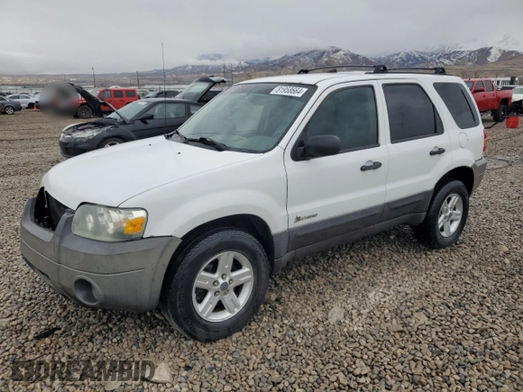 2006 Ford Escape Hybrid with VIN 1FMCU96H96KC73563, listed as a Copart auction lot 81958664 with 186,023 mi miles and Salvage Title. Bid and sale history available at carsss.com. Image 1.