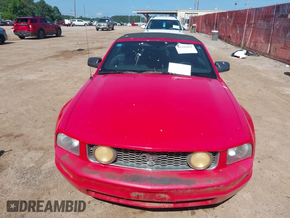 2009 Ford Mustang with VIN 1ZVHT84N795112662, listed as a IAAI auction lot 42322437 with Not provided miles and . Bid and sale history available at DreamBid. Image 6.