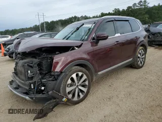 2020 Kia Telluride EX with VIN 5XYP34HC2LG065510, listed as a Copart auction lot 57177175 with 134,675 mi miles and Salvage title. Bid and sale history available at DreamBid. Image 1.