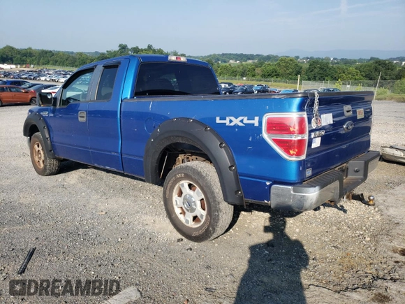 2010 Ford F-150 XL with VIN 1FTEX1E86AKB83433, listed as a Copart auction lot 64221855 with 294,443 mi miles and Salvage title. Bid and sale history available at DreamBid. Image 2.