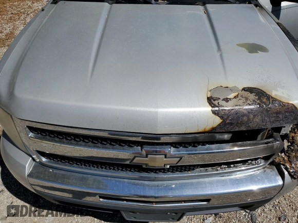 2010 Chevrolet Silverado 1500 LT with VIN 1GCSCSE03AZ298271, listed as a Copart auction lot 49427065 with 138,154 mi miles and Salvage Title. Bid and sale history available at DreamBid. Image 11.