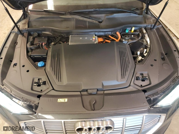 2020 Audi e-tron Sportback Premium Plus with VIN WA12ABGE1LB036124, listed as a Copart auction lot 49751064 with 46,880 mi miles. Bid and sale history available at carsss.com. Image 11.