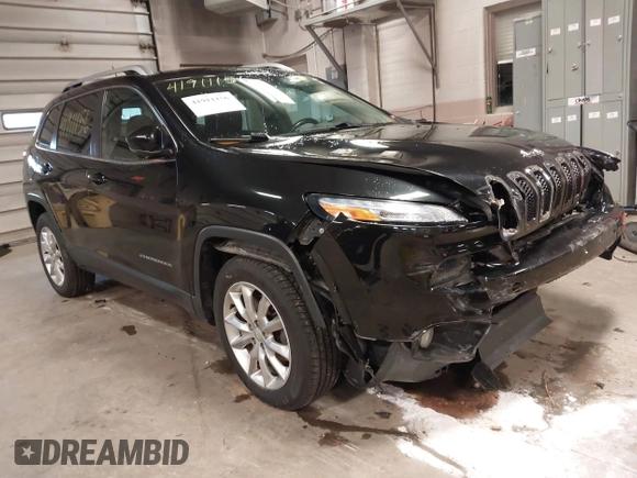 2014 Jeep Cherokee Limited with VIN 1C4PJMDS2EW202518, listed as a IAAI auction lot 41911156 with 119,533 mi miles. Bid and sale history available at carsss.com. Image 1.