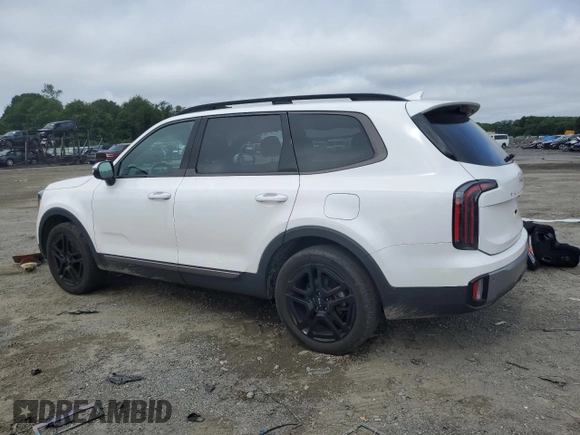 2023 Kia Telluride SX with VIN 5XYP5DGC4PG409789, listed as a Copart auction lot 63911175 with 23,005 mi miles and Salvage title. Bid and sale history available at DreamBid. Image 2.