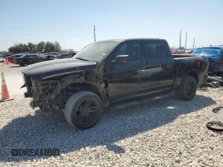 2014 Ram 1500 Express with VIN 1C6RR6KT2ES205667, listed as a Copart auction lot 48217985 with 194,540 mi miles and Salvage Title. Bid and sale history available at carsss.com. Image 1.