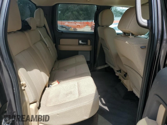 2013 Ford F-150 XL with VIN 1FTFW1EF1DFB70494, listed as a Copart auction lot 61549945 with 124,216 mi miles and Salvage title. Bid and sale history available at DreamBid. Image 10.