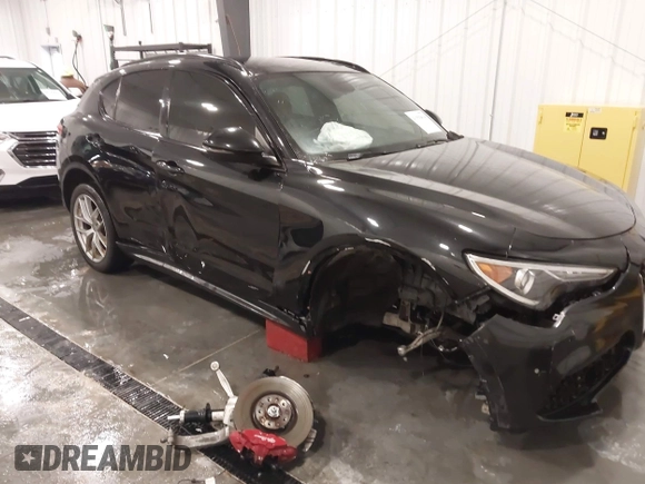 2019 Alfa Romeo Stelvio Ti with VIN ZASPAKBN3K7C71569, listed as a IAAI auction lot 41556814 with 87,279 mi miles and . Bid and sale history available at DreamBid. Image 6.