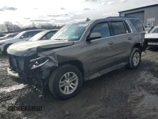 2018 Chevrolet Tahoe LT with VIN 1GNSKBKC0JR130323, listed as a Copart auction lot 47020125 with 102,046 mi miles and Salvage title. Bid and sale history available at DreamBid. Image 1.