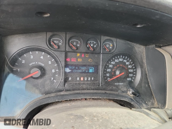 2009 Ford F-150 XL with VIN 1FTRF12W99KC32515, listed as a Copart auction lot 60455865 with 251,348 mi miles and Clean title. Bid and sale history available at DreamBid. Image 9.