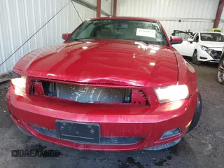 2010 Ford Mustang V6 with VIN 1ZVBP8AN8A5129893, listed as a IAAI auction lot 42189032 with 162,686 mi miles and . Bid and sale history available at DreamBid. Image 6.