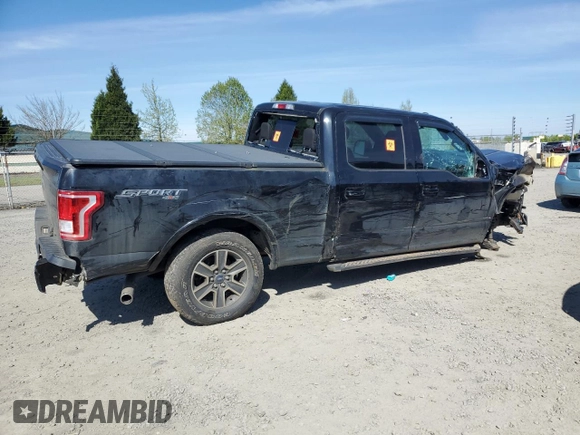 2017 Ford F-150 XL with VIN 1FTFW1EF8HKD33493, listed as a Copart auction lot 53383625 with 79,262 mi miles and Salvage Title. Bid and sale history available at carsss.com. Image 3.