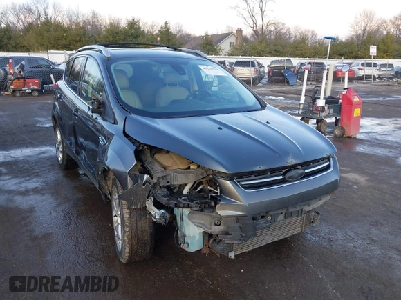 2015 Ford Escape Titanium with VIN 1FMCU0J92FUB74972, listed as a IAAI auction lot 41164519 with 228,785 mi miles and . Bid and sale history available at DreamBid. Image 1.