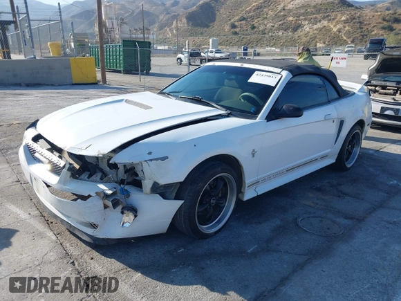 2000 Ford Mustang with VIN 1FAFP4441YF251618, listed as a IAAI auction lot 42439813 with 197,178 mi miles and . Bid and sale history available at DreamBid. Image 17.