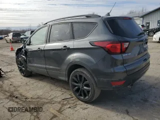 2019 Ford Escape SE with VIN 1FMCU0GDXKUA46873, listed as a Copart auction lot 44201505 with 123,631 mi miles and Salvage Title. Bid and sale history available at carsss.com. Image 2.