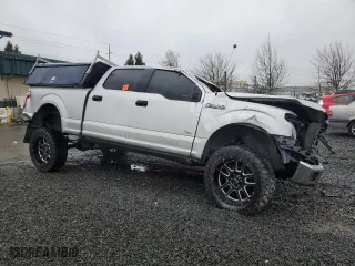2016 Ford F-150 XLT with VIN 1FTFW1EG9GKE34758, listed as a Copart auction lot 49686685 with 0 mi miles and Salvage Title. Bid and sale history available at carsss.com. Image 4.
