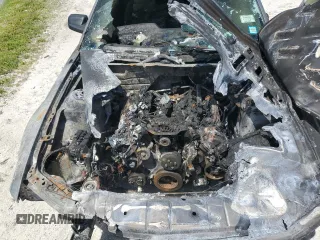 2006 Ford Mustang GT Deluxe with VIN 1ZVFT82H665230721, listed as a Copart auction lot 51584405 with 0 mi miles and Non Repairable. Bid and sale history available at carsss.com. Image 11.