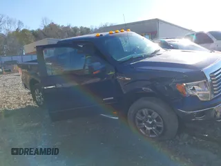 2012 Ford F-150 XL with VIN 1FTFX1ET0CFA13900, listed as a IAAI auction lot 41636108 with 168,802 mi miles. Bid and sale history available at carsss.com. Image 12.