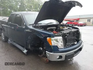 2013 Ford F-150 XL with VIN 1FTFX1EFXDFB89719, listed as a IAAI auction lot 42310707 with 142,977 mi miles and . Bid and sale history available at DreamBid. Image 6.