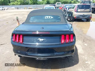 2017 Ford Mustang EcoBoost Premium с VIN 1FATP8UH8H5295196, выставлен на аукционе IAAI как лот 42651434 с пробегом 59 134 миль миль и . История ставок и продаж доступна на DreamBid. Изображение 17.