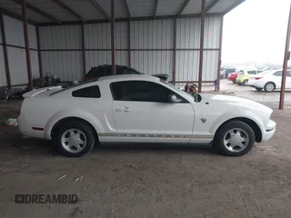 2009 Ford Mustang with VIN 1ZVHT80N095117420, listed as a IAAI auction lot 41441760 with 137,751 mi miles and . Bid and sale history available at carsss.com. Image 13.