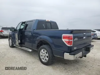 2014 Ford F-150 XL with VIN 1FTFW1CF4EKF73896, listed as a Copart auction lot 46234315 with 225,496 mi miles and Salvage Title. Bid and sale history available at carsss.com. Image 2.