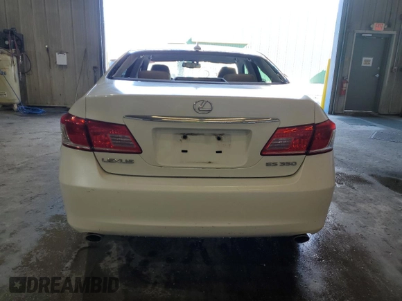 2010 Lexus ES 330 with VIN JTHBK1EGXA2358094, listed as a Copart auction lot 46782755 with 229,098 mi miles and Salvage Title. Bid and sale history available at DreamBid. Image 6.