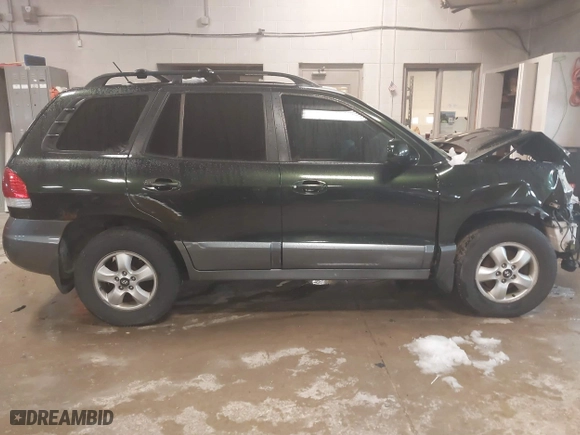 2006 Hyundai Santa Fe GLS with VIN KM8SC13E56U096895, listed as a IAAI auction lot 39109668 with 154,330 mi miles. Bid and sale history available at carsss.com. Image 13.
