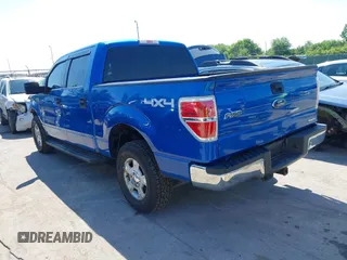 2013 Ford F-150 XL with VIN 1FTFW1EF3DFE08376, listed as a IAAI auction lot 42624045 with 189,635 mi miles and . Bid and sale history available at DreamBid. Image 3.