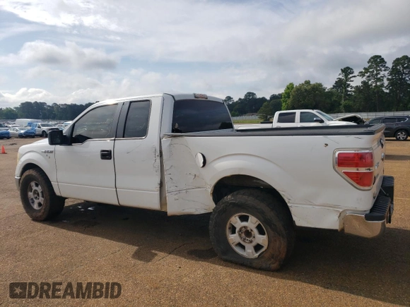 2009 Ford F-150 STX with VIN 1FTRX12829KB97914, listed as a Copart auction lot 56244425 with 264,622 mi miles and Salvage title. Bid and sale history available at DreamBid. Image 2.