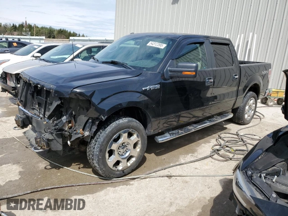 2010 Ford F-150 XL with VIN 1FTFW1EV2AFD23600, listed as a Copart auction lot 54312395 with 250,649 mi miles and Clean Title. Bid and sale history available at carsss.com. Image 1.