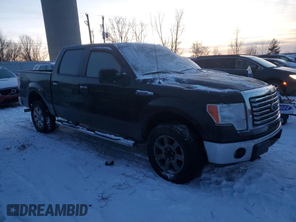 2010 Ford F-150 XL with VIN 1FTFW1EV9AFA55371, listed as a Copart auction lot 84890764 with Not Provided miles and Clean Title. Bid and sale history available at carsss.com. Image 4.