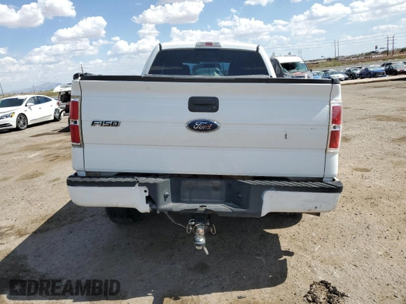 2010 Ford F-150 XL with VIN 1FTEX1EW4AKE08902, listed as a Copart auction lot 64699795 with 288,700 mi miles and Salvage title. Bid and sale history available at DreamBid. Image 6.
