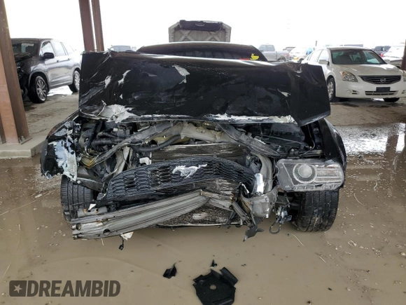 2014 Ford Mustang V6 with VIN 1ZVBP8AM7E5316443, listed as a Copart auction lot 80991534 with Not Provided miles and Salvage Title. Bid and sale history available at DreamBid. Image 5.