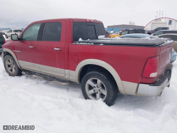 2010 Dodge Ram 1500 Sport with VIN 1D7RV1CT6AS215298, listed as a IAAI auction lot 41302229 with 299,836 mi miles. Bid and sale history available at carsss.com. Image 3.