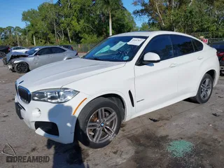 2018 BMW X6 xDrive35i with VIN 5UXKU2C5XJ0Z62290, listed as a IAAI auction lot 41687837 with 102,908 mi miles. Bid and sale history available at carsss.com. Image 18.