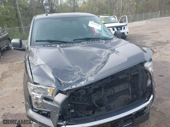 2017 Ford F-150 XL with VIN 1FTEW1EF5HFB81046, listed as a IAAI auction lot 41867836 with 117,896 mi miles. Bid and sale history available at carsss.com. Image 6.