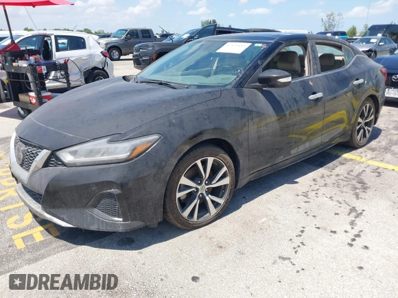 2019 Nissan Maxima Platinum z VIN 1N4AA6AV8KC366407, wystawiony jako IAAI lot #42329455 z przebiegiem 34 518 mil mil oraz . Historia ofert i sprzedaży dostępna na DreamBid. Obrazek 2.