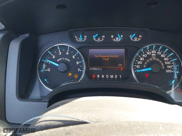 2013 Ford F-150 XL with VIN 1FTEW1CM8DKD11095, listed as a IAAI auction lot 41658268 with 215,583 mi miles. Bid and sale history available at carsss.com. Image 7.