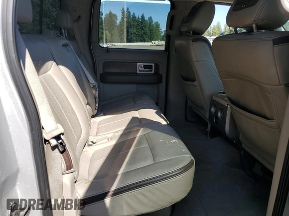 2009 Ford F-150 XL with VIN 1FTPW14V69FA48640, listed as a Copart auction lot 65913475 with 134,839 mi miles and Salvage title. Bid and sale history available at DreamBid. Image 10.