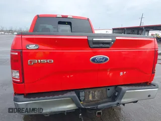 2016 Ford F-150 XL with VIN 1FTEX1CP9GKF76099, listed as a IAAI auction lot 41538199 with 163,543 mi miles and . Bid and sale history available at carsss.com. Image 8.