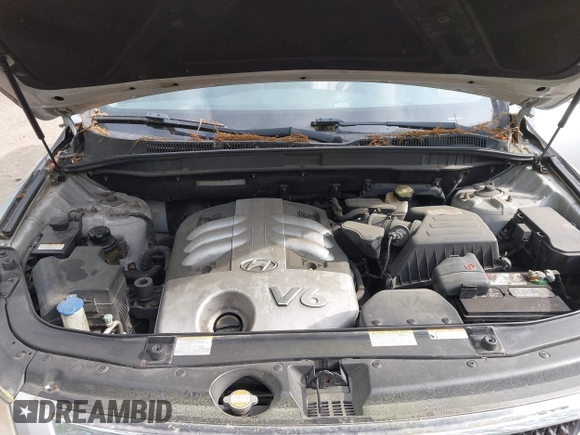 2007 Hyundai Veracruz GLS with VIN KM8NU73CX7U007710, listed as a IAAI auction lot 42136963 with 175,111 mi miles and . Bid and sale history available at DreamBid. Image 10.