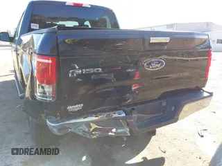 2015 Ford F-150 XLT with VIN 1FTEW1EG6FKF22211, listed as a IAAI auction lot 41753438 with 130,019 mi miles. Bid and sale history available at carsss.com. Image 6.