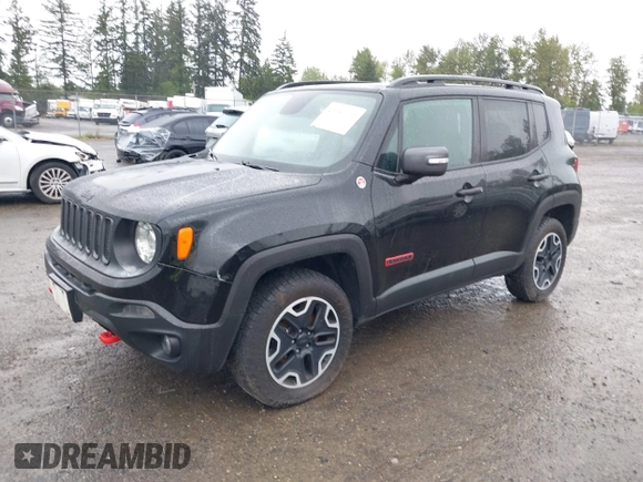 2017 Jeep Renegade Deserthawk with VIN ZACCJBCB3HPF49135, listed as a IAAI auction lot 42291172 with 162,356 mi miles and . Bid and sale history available at DreamBid. Image 18.